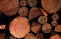 /album/activitat-9/materies1-jpg/
